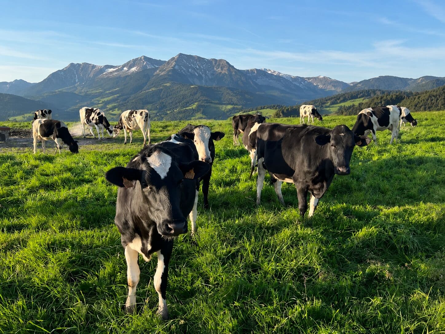 Paisaje rural de Cantabria